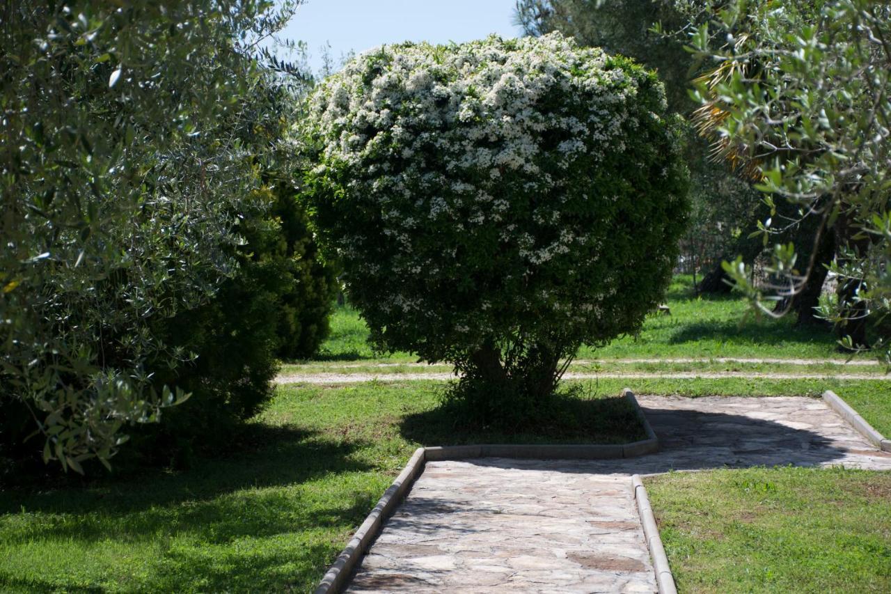Sanja Apartments Sveti Servul Novigrad  Luaran gambar